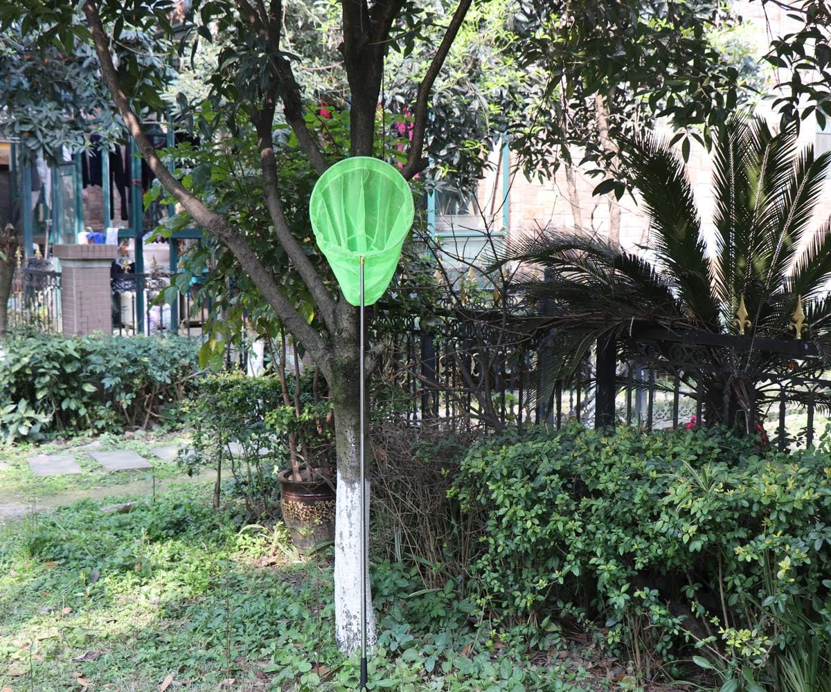 RESTCLOUD Bait Net and Fishing Landing Net with Telescoping Pole Handle Extends to 59 inches - Image 3