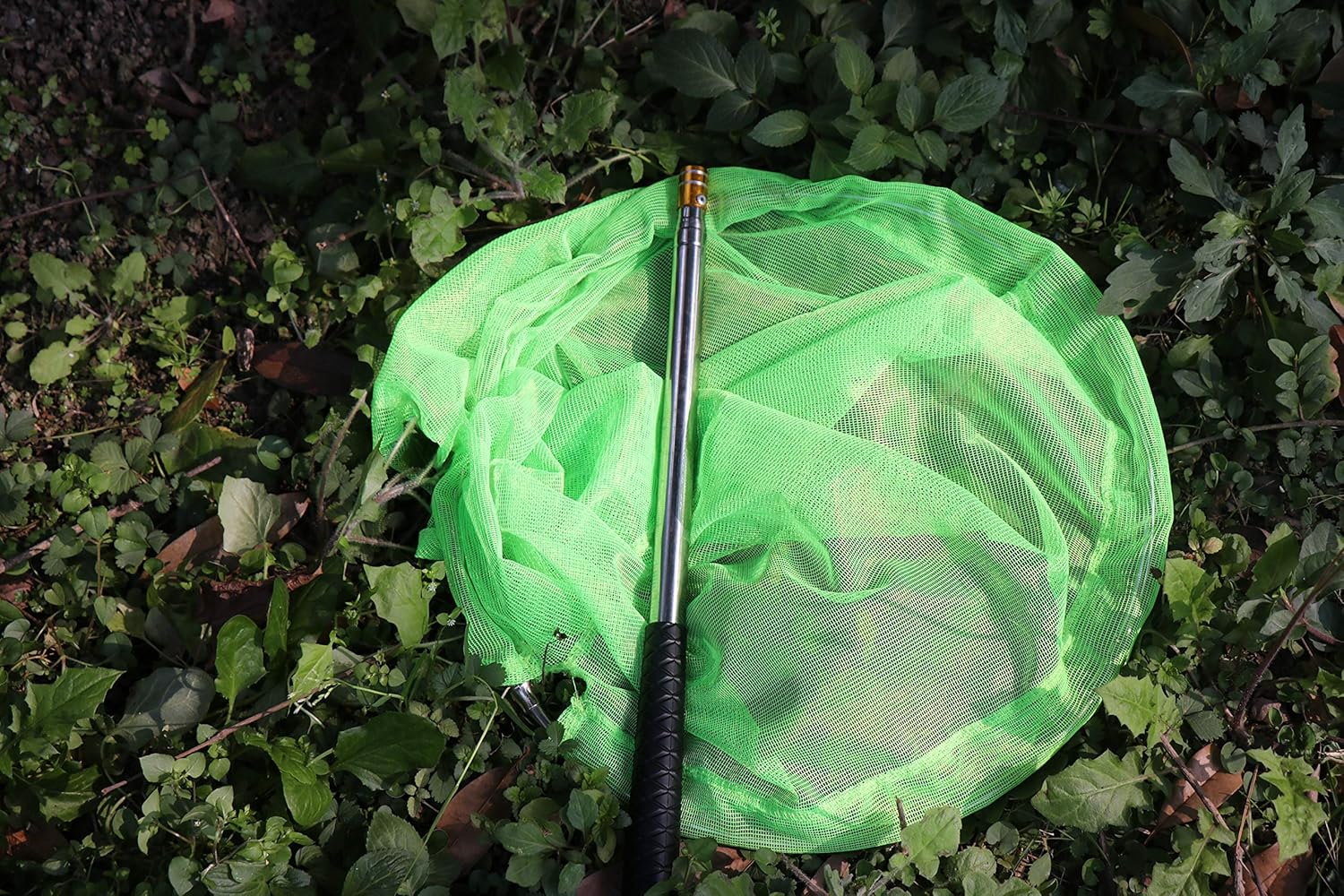 RESTCLOUD Bait Net and Fishing Landing Net with Telescoping Pole Handle Extends to 59 inches - Image 6